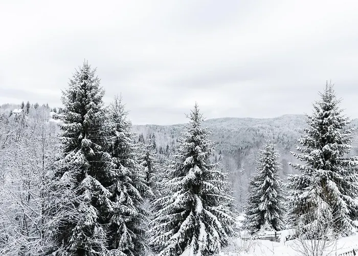 Appartamento Glecer Kop, Cozy Design A5, Free Parking Garage *